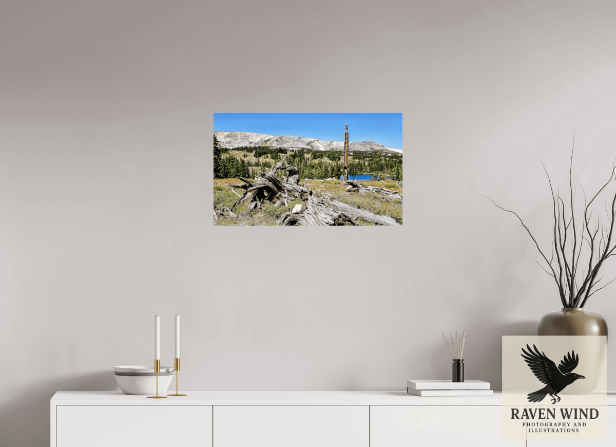 Raven Wind Photography & Illustrations-Standing Bear Tree - Bear Lake, Colorado Fine Art Nature Print -