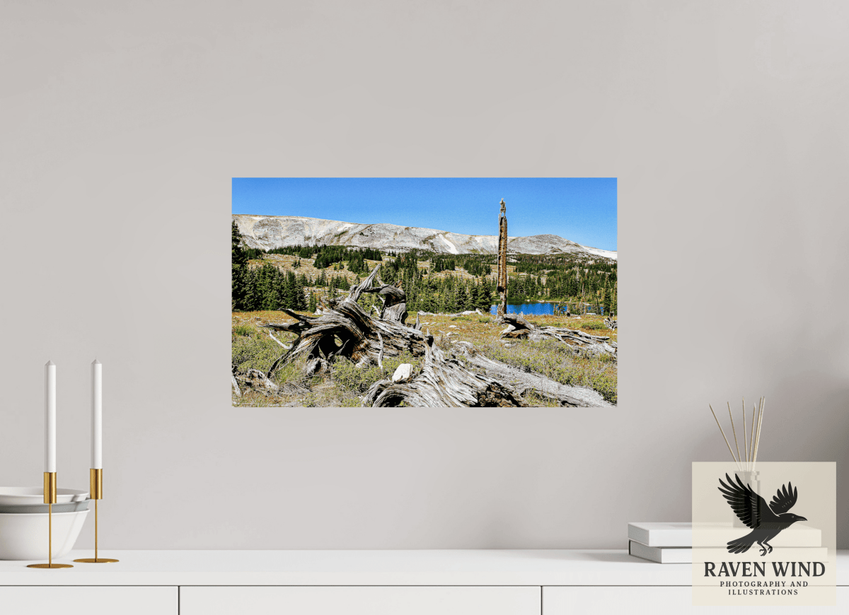 Raven Wind Photography & Illustrations-Standing Bear Tree - Bear Lake, Colorado Fine Art Nature Print -