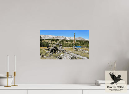 Raven Wind Photography & Illustrations-Standing Bear Tree - Bear Lake, Colorado Fine Art Nature Print -