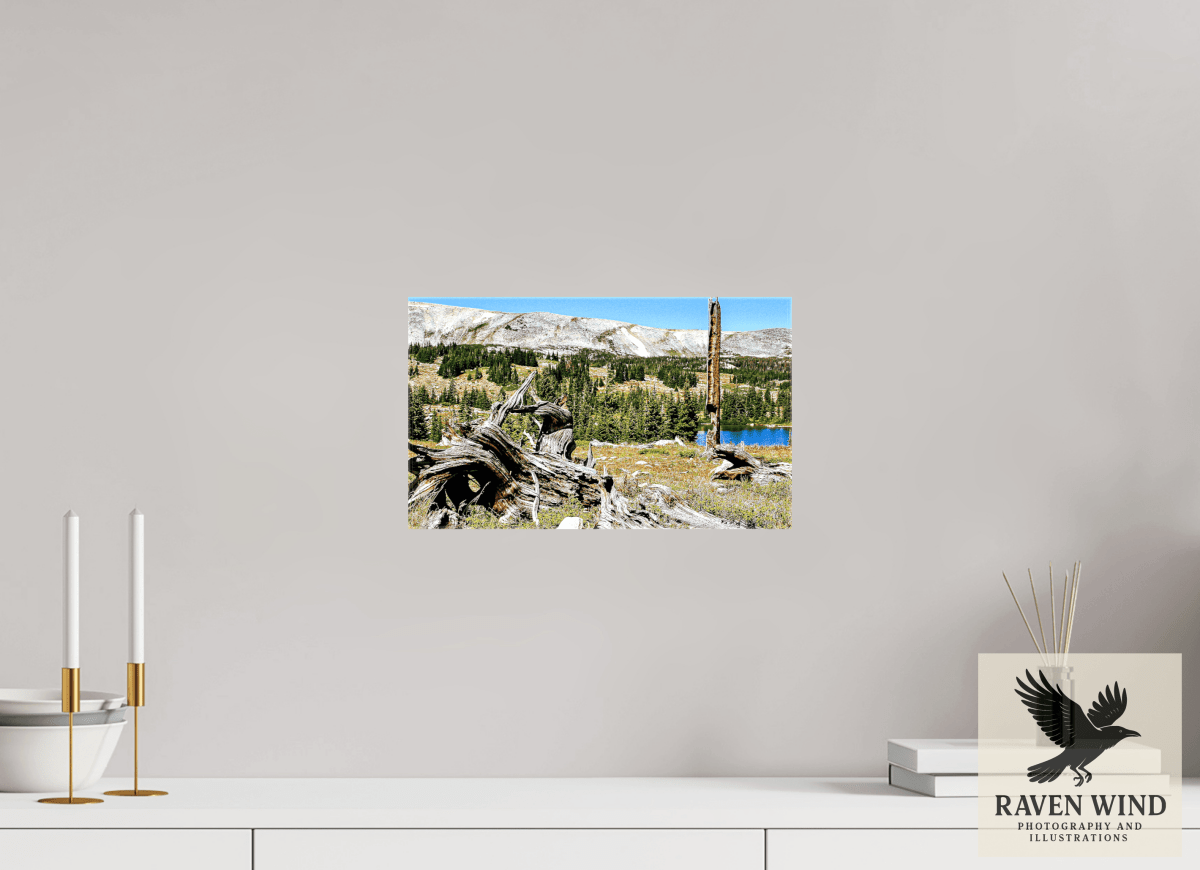 Raven Wind Photography & Illustrations-Standing Bear Tree - Bear Lake, Colorado Fine Art Nature Print -