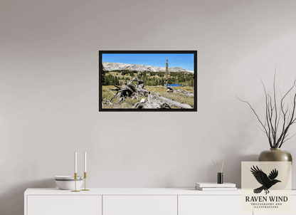 Raven Wind Photography & Illustrations-Standing Bear Tree - Bear Lake, Colorado Fine Art Nature Print -