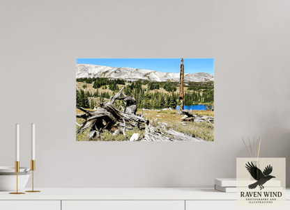 Raven Wind Photography & Illustrations-Standing Bear Tree - Bear Lake, Colorado Fine Art Nature Print -