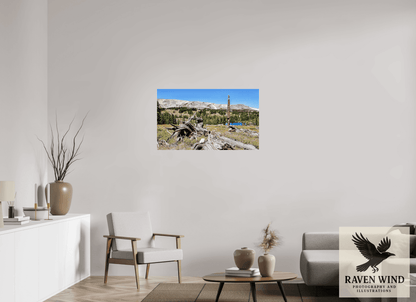 Raven Wind Photography & Illustrations-Standing Bear Tree - Bear Lake, Colorado Fine Art Nature Print -