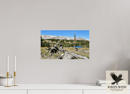 Raven Wind Photography & Illustrations-Standing Bear Tree - Bear Lake, Colorado Fine Art Nature Print -