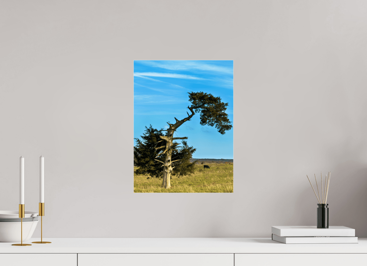 Raven Wind Photography & Illustrations-Still Standing and Reaching for the Sky Fine Art Nature Print -