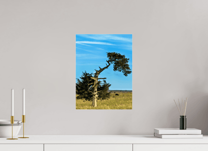 Raven Wind Photography & Illustrations-Still Standing and Reaching for the Sky Fine Art Nature Print -