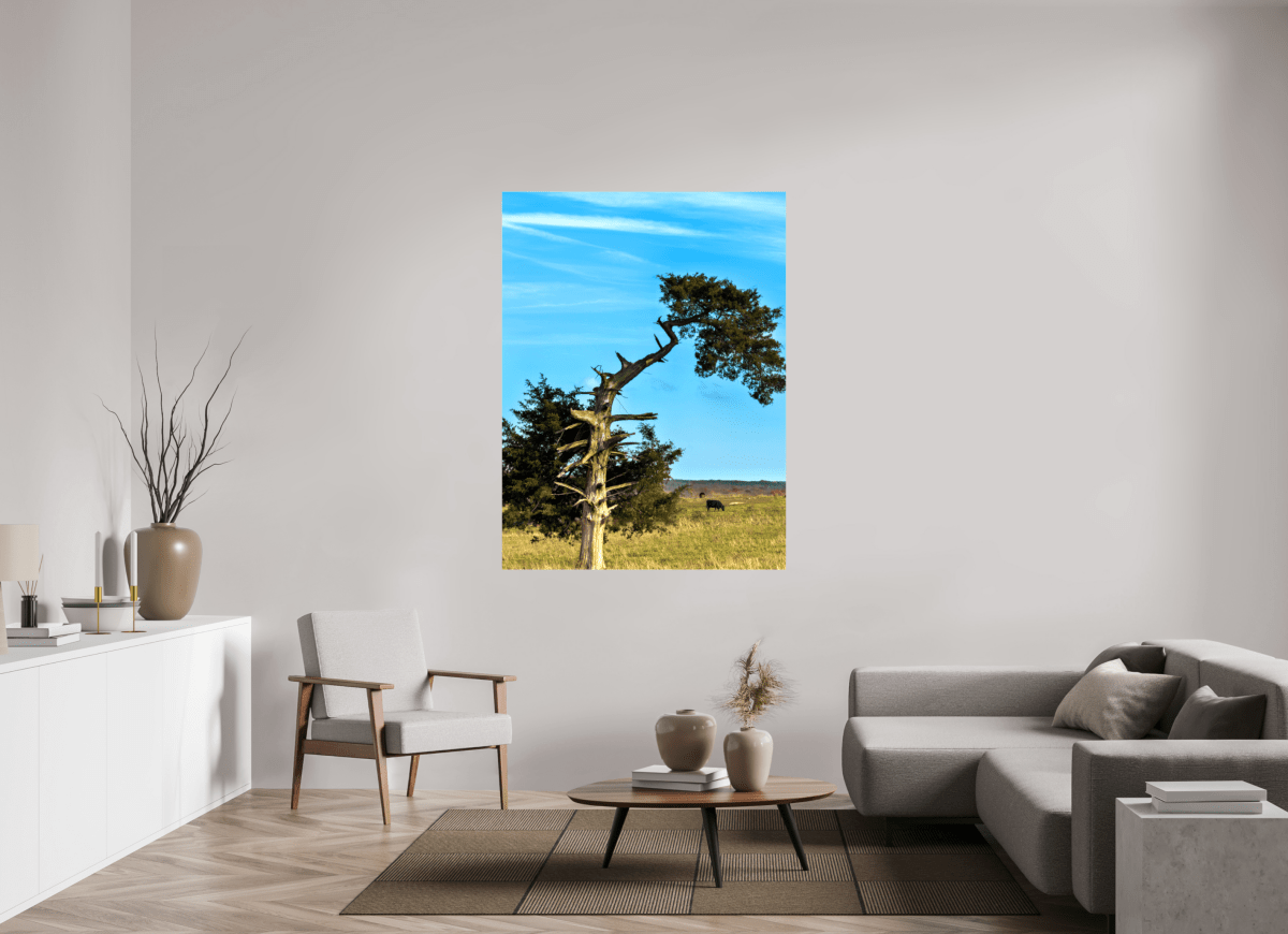 Raven Wind Photography & Illustrations-Still Standing and Reaching for the Sky Fine Art Nature Print -