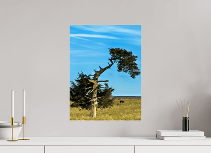 Raven Wind Photography & Illustrations-Still Standing and Reaching for the Sky Fine Art Nature Print -