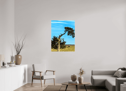 Raven Wind Photography & Illustrations-Still Standing and Reaching for the Sky Fine Art Nature Print -