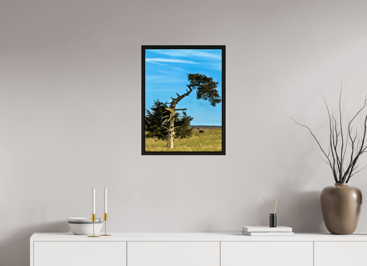 Raven Wind Photography & Illustrations-Still Standing and Reaching for the Sky Fine Art Nature Print -