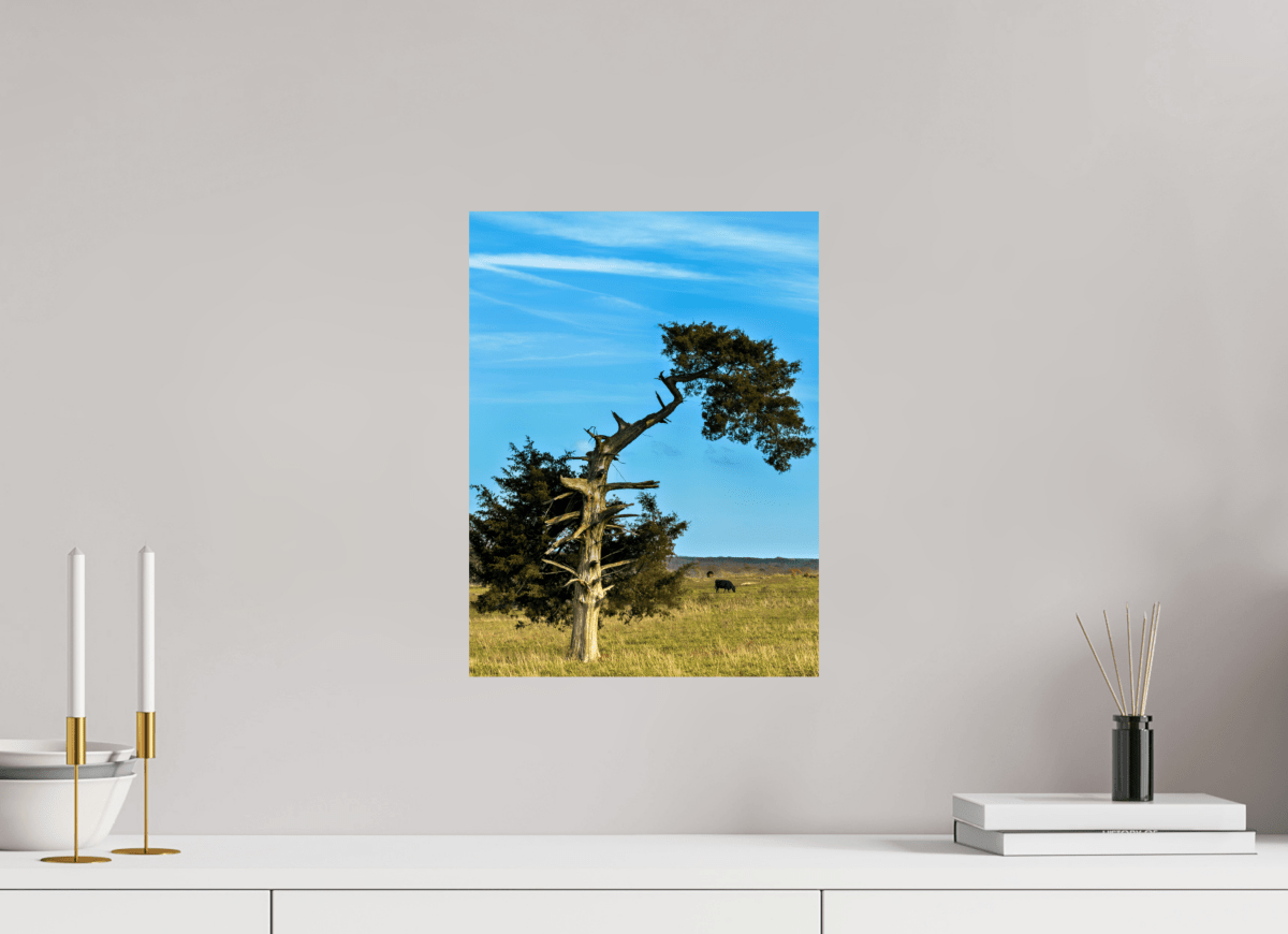 Raven Wind Photography & Illustrations-Still Standing and Reaching for the Sky Fine Art Nature Print -