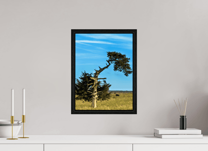 Raven Wind Photography & Illustrations-Still Standing and Reaching for the Sky Fine Art Nature Print -