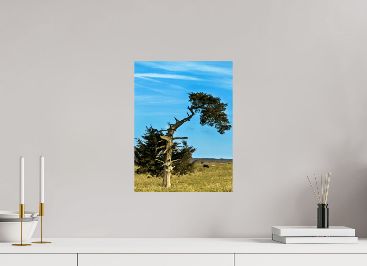 Raven Wind Photography & Illustrations-Still Standing and Reaching for the Sky Fine Art Nature Print -