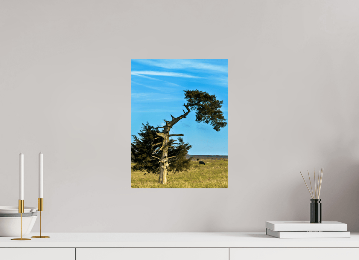 Raven Wind Photography & Illustrations-Still Standing and Reaching for the Sky Fine Art Nature Print -