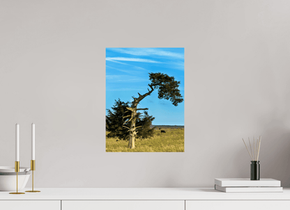 Raven Wind Photography & Illustrations-Still Standing and Reaching for the Sky Fine Art Nature Print -