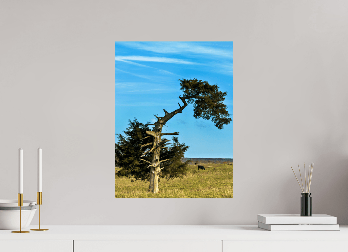 Raven Wind Photography & Illustrations-Still Standing and Reaching for the Sky Fine Art Nature Print -