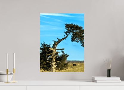 Raven Wind Photography & Illustrations-Still Standing and Reaching for the Sky Fine Art Nature Print -