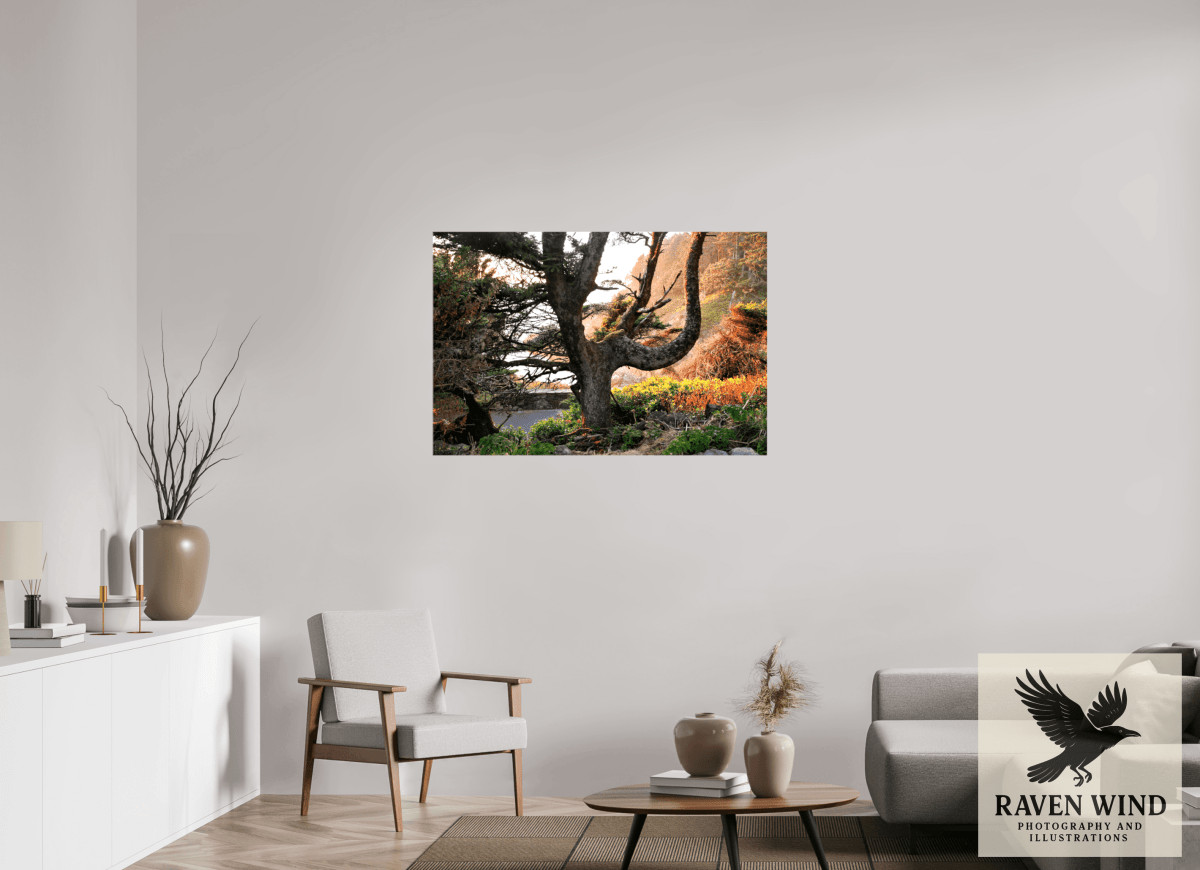 Raven Wind Photography & Illustrations-Sunset Glow Fine Art Nature Print -