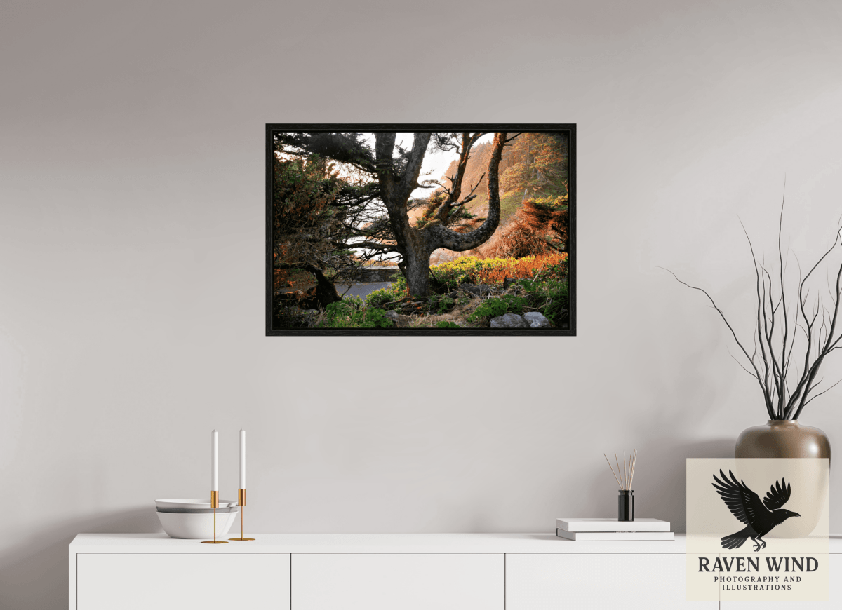 Raven Wind Photography & Illustrations-Sunset Glow Fine Art Nature Print -