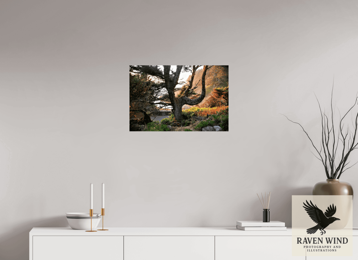 Raven Wind Photography & Illustrations-Sunset Glow Fine Art Nature Print -