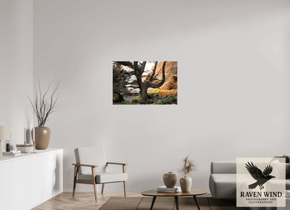 Raven Wind Photography & Illustrations-Sunset Glow Fine Art Nature Print -