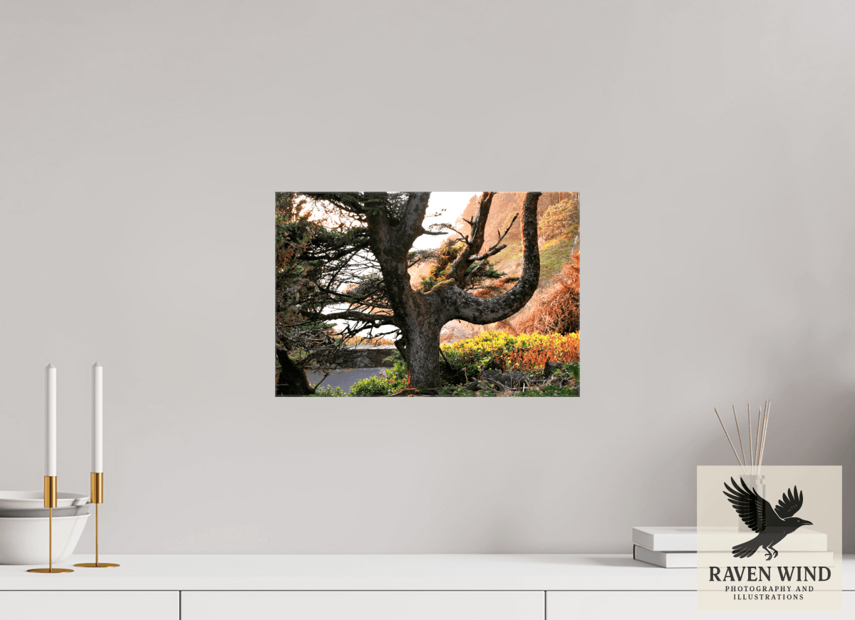 Raven Wind Photography & Illustrations-Sunset Glow Fine Art Nature Print -