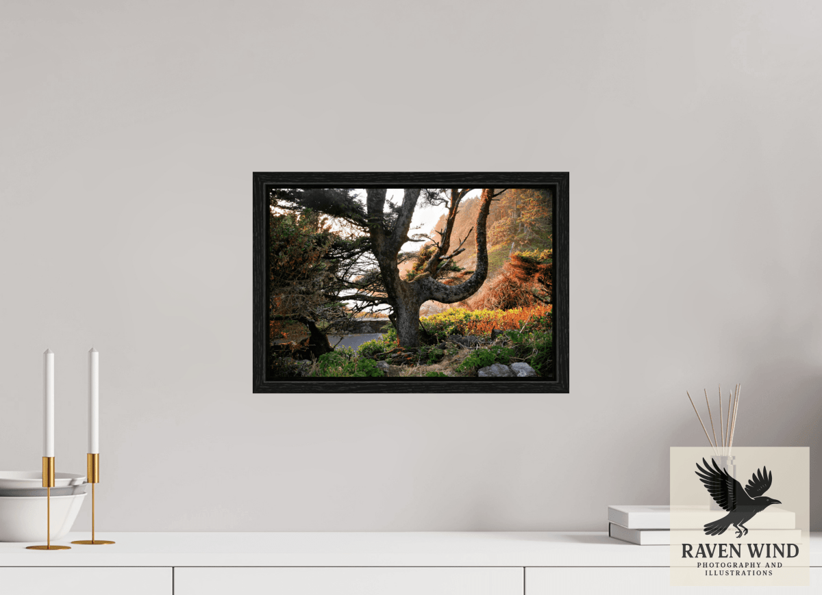 Raven Wind Photography & Illustrations-Sunset Glow Fine Art Nature Print -