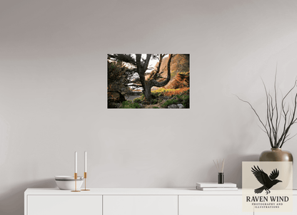 Raven Wind Photography & Illustrations-Sunset Glow Fine Art Nature Print -