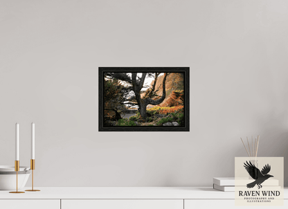 Raven Wind Photography & Illustrations-Sunset Glow Fine Art Nature Print -