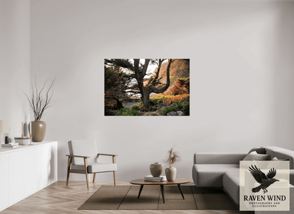Raven Wind Photography & Illustrations-Sunset Glow Fine Art Nature Print -