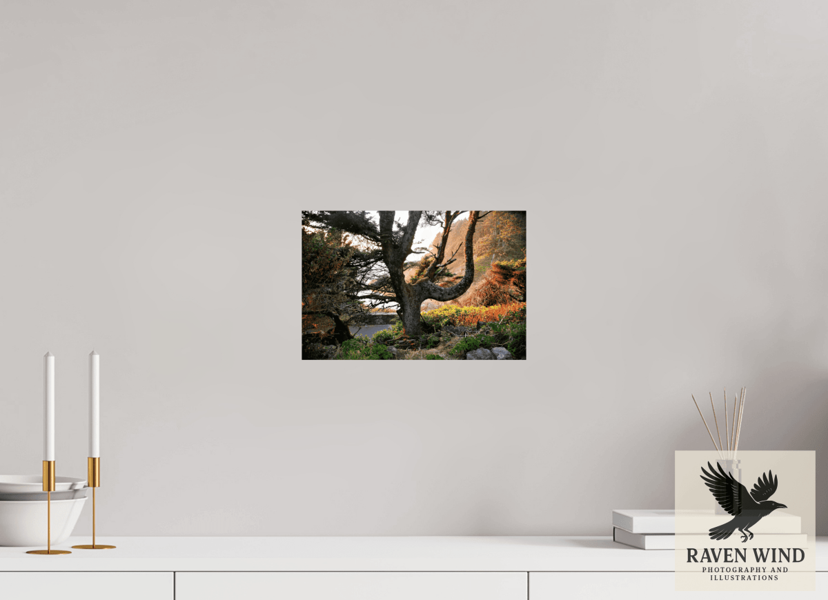 Raven Wind Photography & Illustrations-Sunset Glow Fine Art Nature Print -