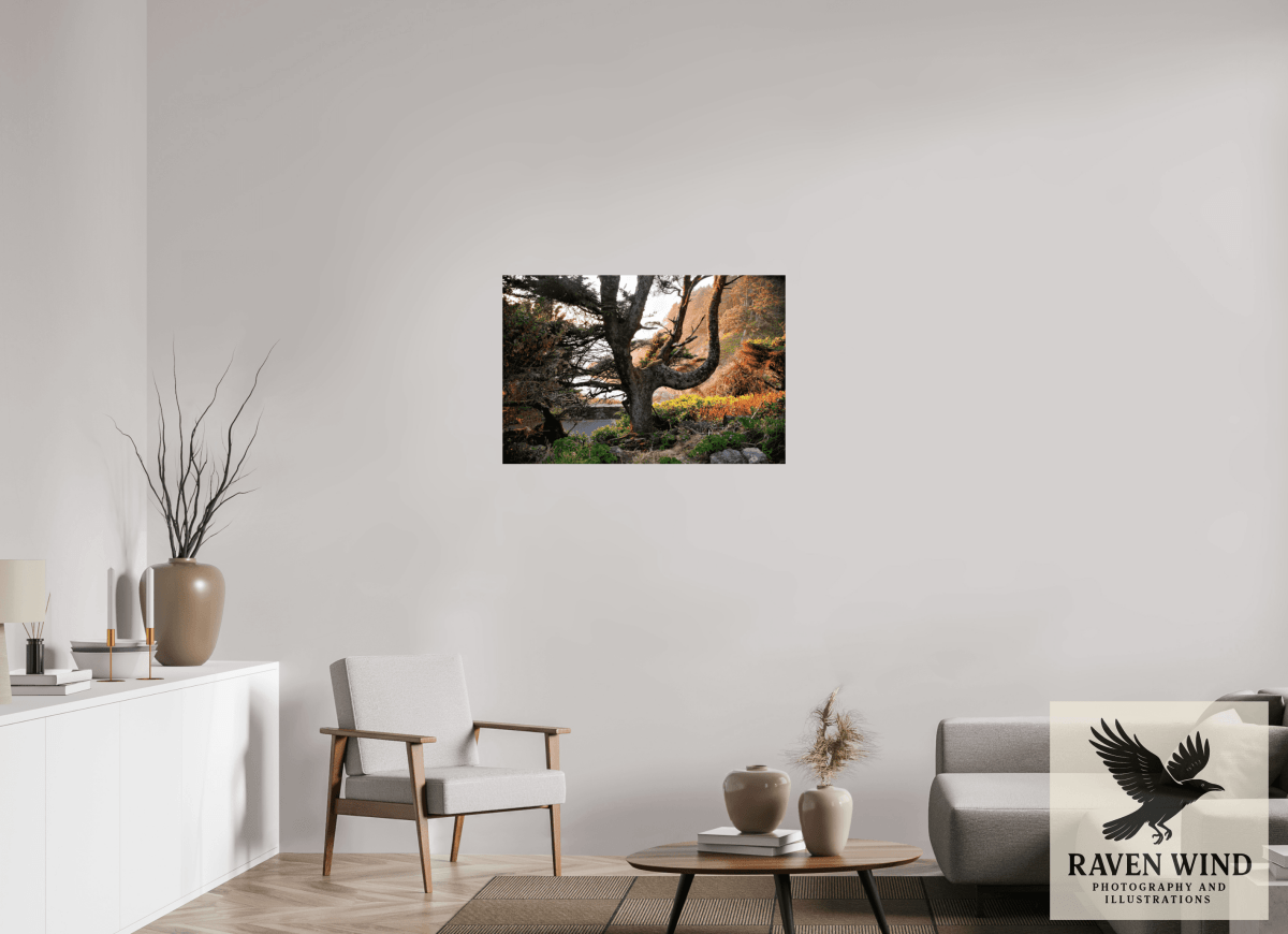 Raven Wind Photography & Illustrations-Sunset Glow Fine Art Nature Print -