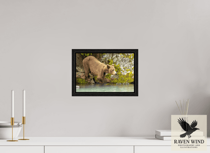Raven Wind Photography & Illustrations-Testing the Waters Fine Art Wildlife Photography Print -