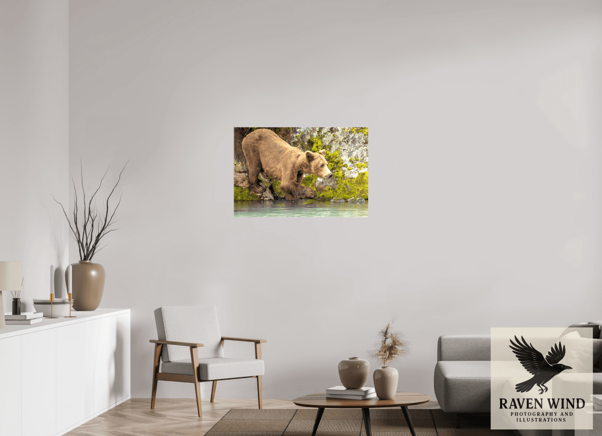 Raven Wind Photography & Illustrations-Testing the Waters Fine Art Wildlife Photography Print -