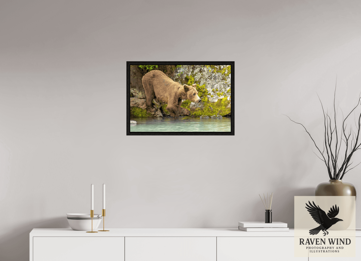 Raven Wind Photography & Illustrations-Testing the Waters Fine Art Wildlife Photography Print -