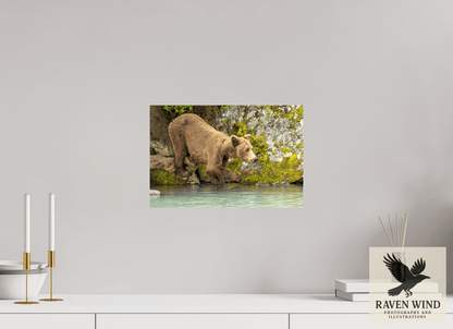 Raven Wind Photography & Illustrations-Testing the Waters Fine Art Wildlife Photography Print -