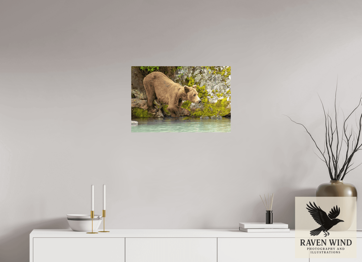 Raven Wind Photography & Illustrations-Testing the Waters Fine Art Wildlife Photography Print -