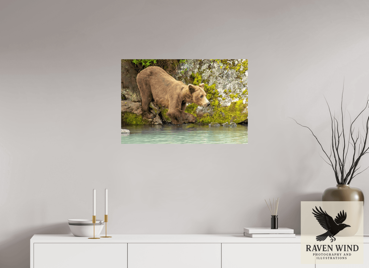 Raven Wind Photography & Illustrations-Testing the Waters Fine Art Wildlife Photography Print -