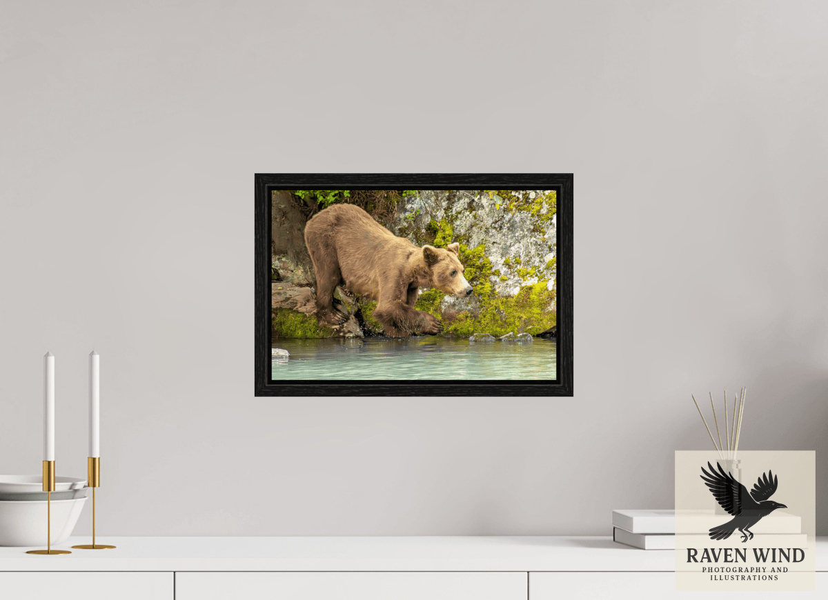 Raven Wind Photography & Illustrations-Testing the Waters Fine Art Wildlife Photography Print -