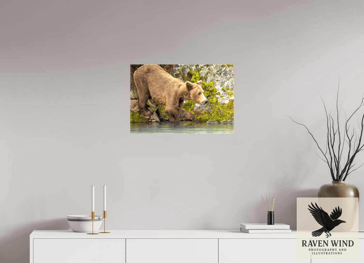 Raven Wind Photography & Illustrations-Testing the Waters Fine Art Wildlife Photography Print -