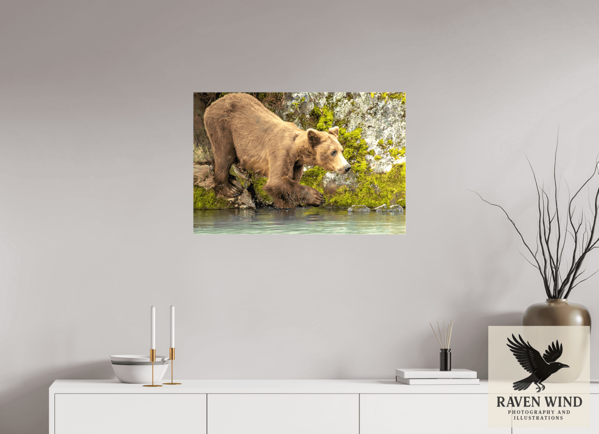 Raven Wind Photography & Illustrations-Testing the Waters Fine Art Wildlife Photography Print -