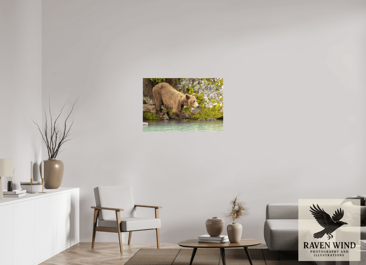 Raven Wind Photography & Illustrations-Testing the Waters Fine Art Wildlife Photography Print -