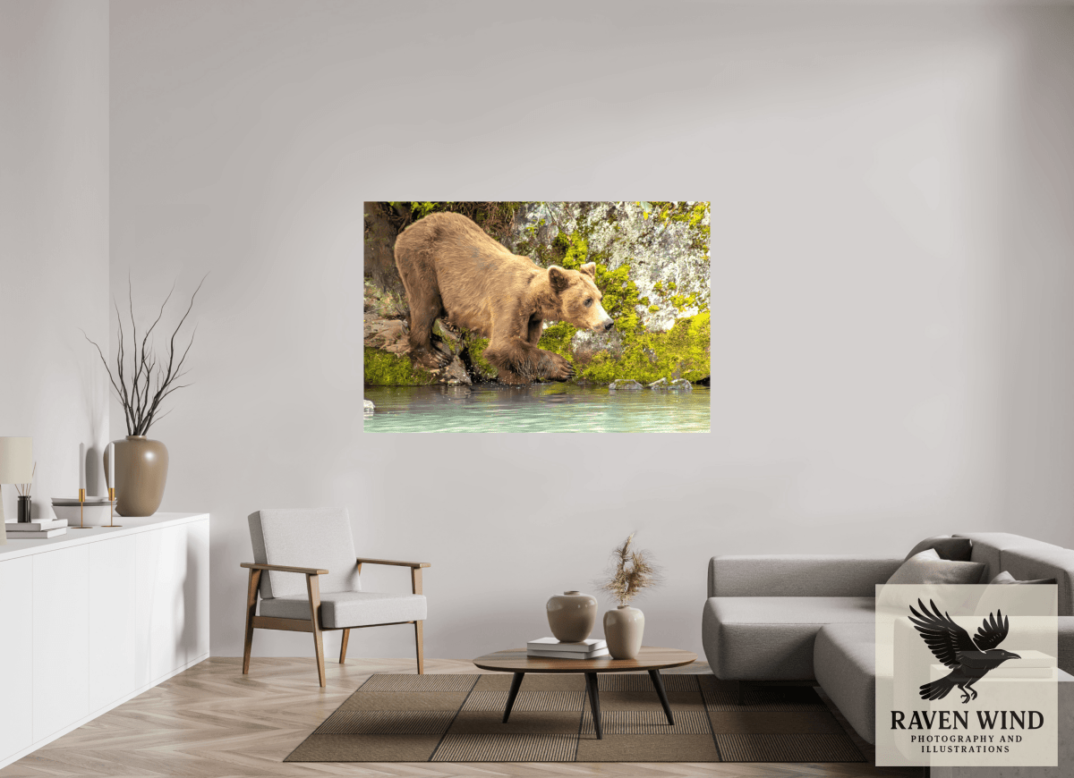 Raven Wind Photography & Illustrations-Testing the Waters Fine Art Wildlife Photography Print -