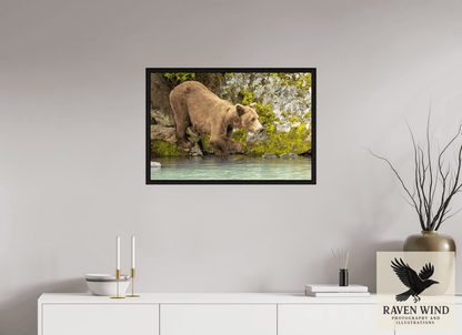 Raven Wind Photography & Illustrations-Testing the Waters Fine Art Wildlife Photography Print -
