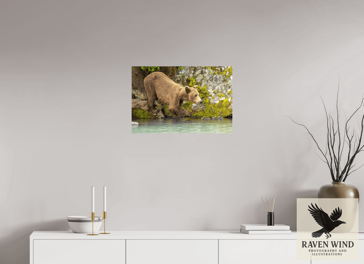 Raven Wind Photography & Illustrations-Testing the Waters Fine Art Wildlife Photography Print -