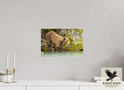 Raven Wind Photography & Illustrations-Testing the Waters Fine Art Wildlife Photography Print -