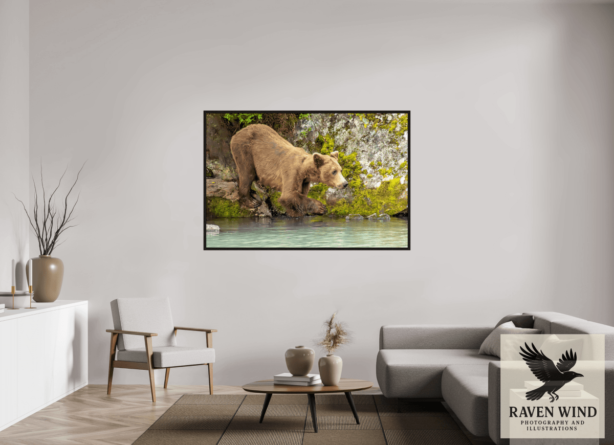 Raven Wind Photography & Illustrations-Testing the Waters Fine Art Wildlife Photography Print -