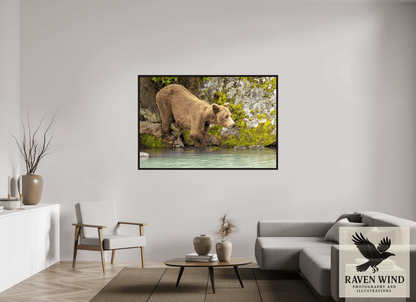 Raven Wind Photography & Illustrations-Testing the Waters Fine Art Wildlife Photography Print -