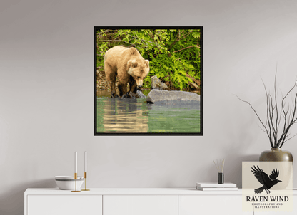 Raven Wind Photography & Illustrations-That's a miss! Fine Art Wildlife Photography Print -