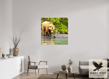 Raven Wind Photography & Illustrations-That's a miss! Fine Art Wildlife Photography Print -